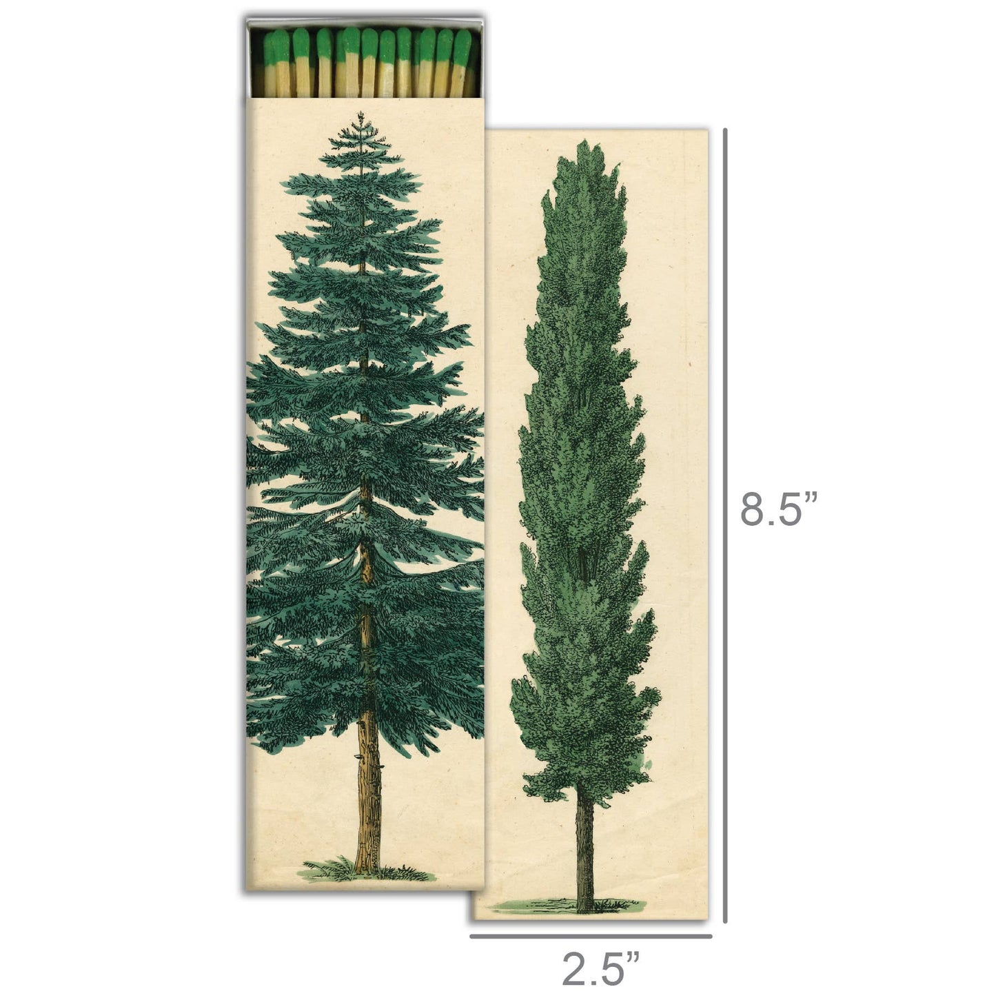 Match - Tall Trees - Rustbelt Candle Co.